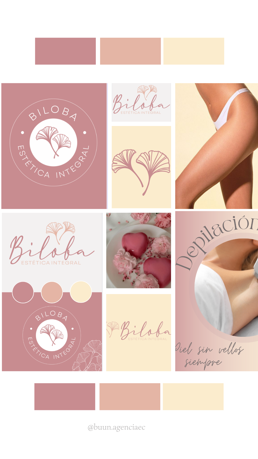 Identidad Visual 4