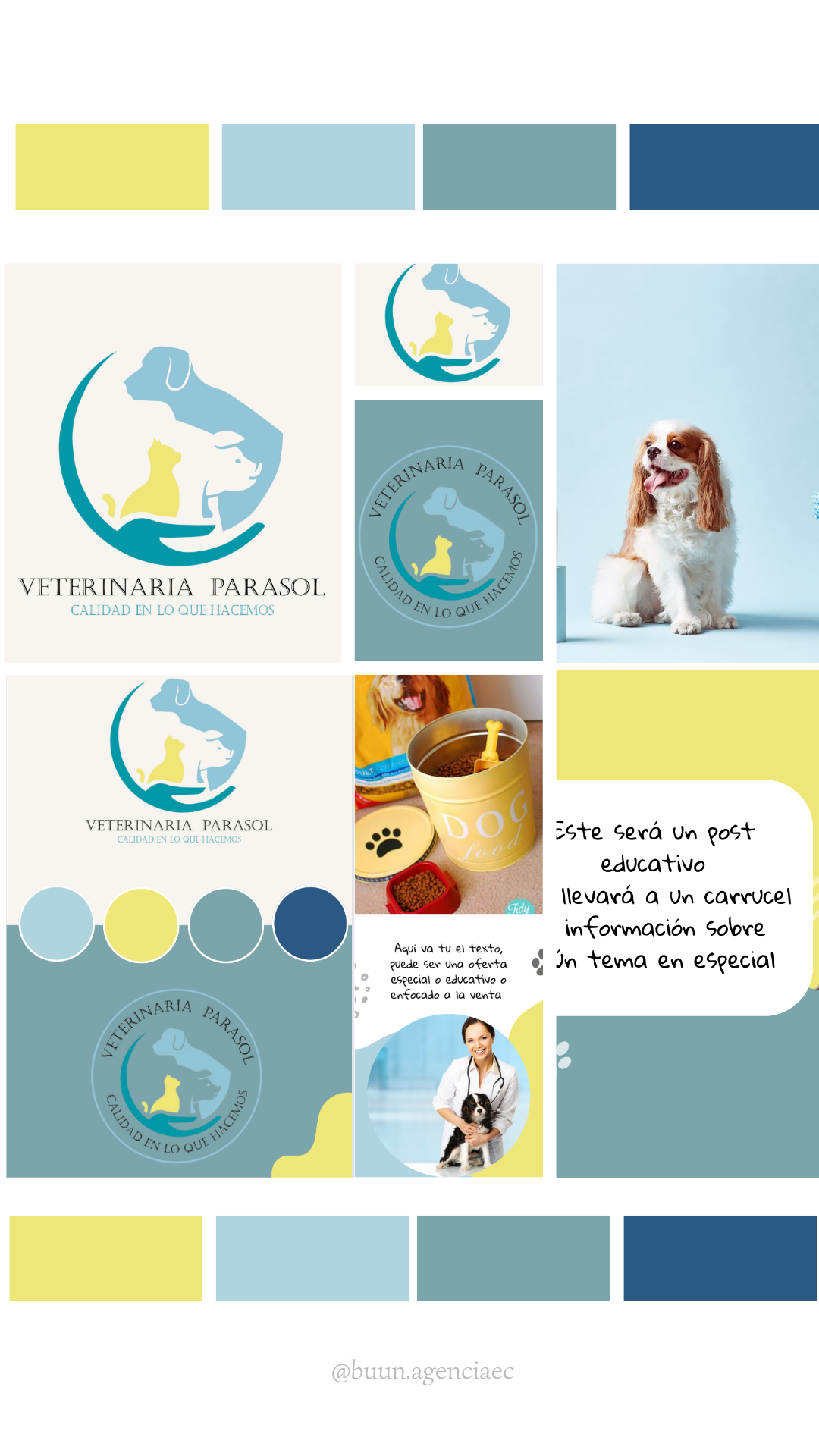 Identidad Visual 8